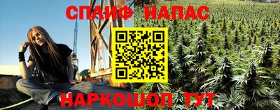 сатива Берёзовский