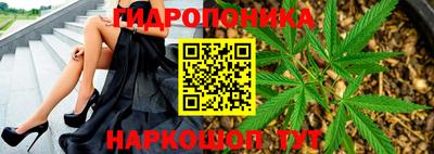 гидра Бийск