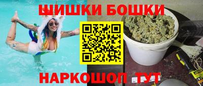 индика Беслан