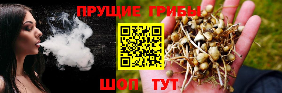 Галлюциногенные грибы мухоморы  Вход с VPN  Каменск-Уральский 